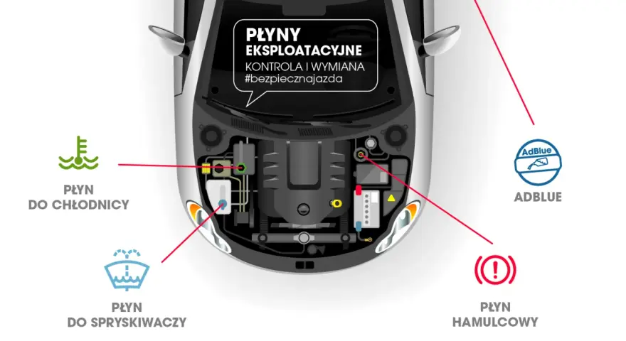 Schemat pod maską samochodu pokazuje lokalizację płynu chłodniczego, płynu do spryskiwaczy, AdBlue i płynu hamulcowego.